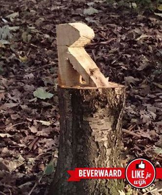 Foto 692 uit LIKEJEWIJK FOTO'S_2