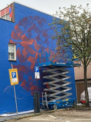 Foto 11 uit All Caps Muurschilderingen Beverwaard 2026