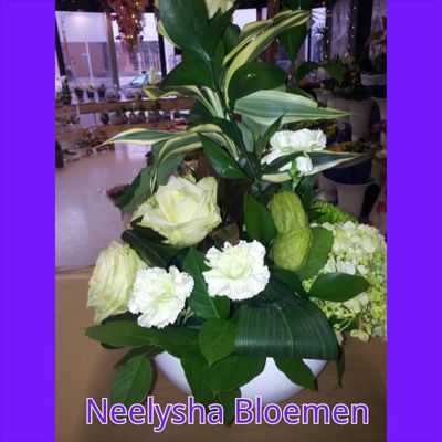 Foto 194 uit NeelyshaBloemen