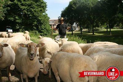 Foto 287 uit LIKEJEWIJK FOTO'S_2