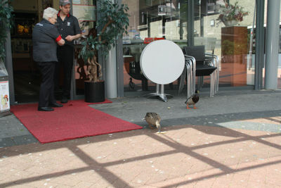 Foto 42 uit GebiedsCommissie