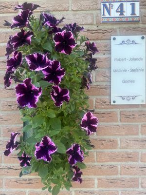 Foto 519 uit Rondje Beverwaard 2026