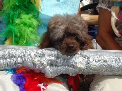 Foto 77 uit 16_06 susannadijk