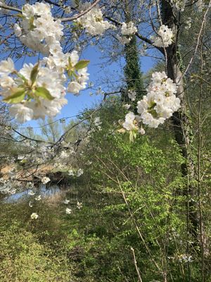 Foto 13 uit Lente En Zomer 2022