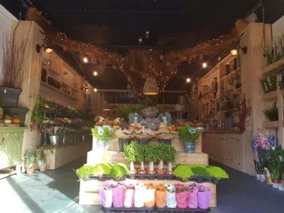 Foto 18 uit De Bloemenboetiek