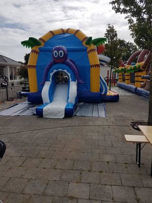 Foto 20 uit VrolijkSevenaerstraat