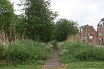 Foto 554 uit StratenBEVERWAARD