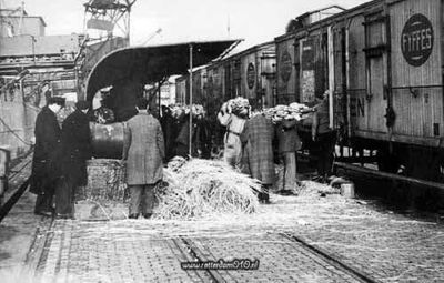 Foto 62 uit Oud Rotterdam Zuid