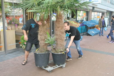 Foto 69 uit HippePlantenBakken