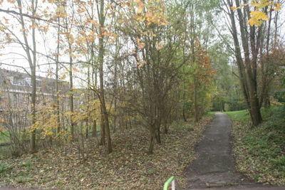 Foto 171 uit Herfst In Beverwaard