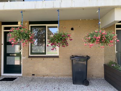 Foto 338 uit Rondje Beverwaard 2026