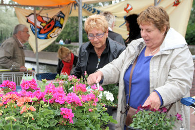 Foto 59 uit OpzoomerenPlantjes