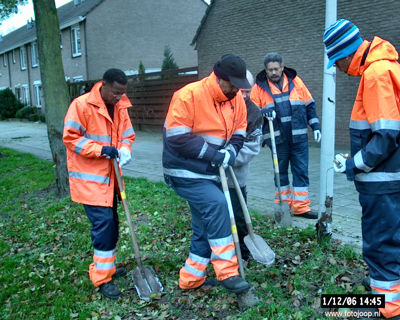 Foto 43 uit bloembollen planten