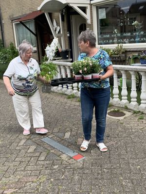 Foto 3 uit PlantenAlerdincksingel