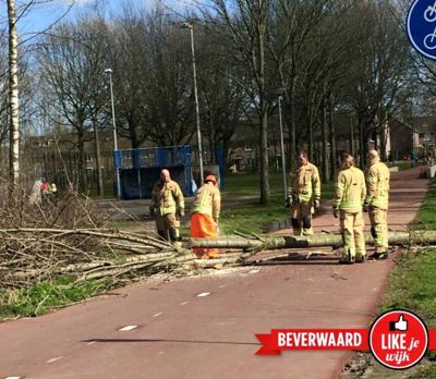 Foto 99 uit LIKEJEWIJK-2016