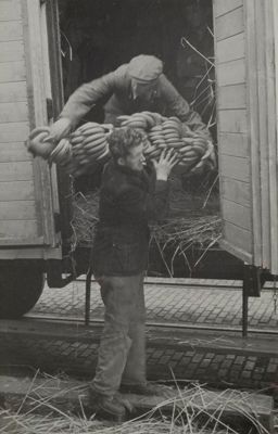 Foto 101 uit Oud Rotterdam Zuid