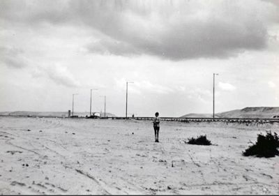 Foto 121 uit BRIENENOORDBRUG