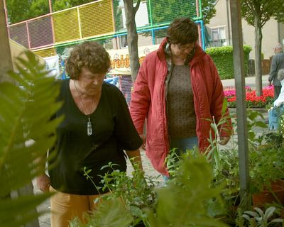 Foto 84 uit opzoomeren 29_5_8