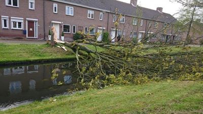 Foto 50 uit StratenBEVERWAARD