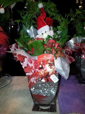 Foto 44 uit NeelyshaBloemen