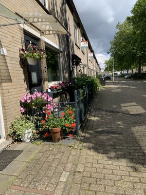 Foto 301 uit Rondje Beverwaard 2026