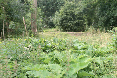 Foto 482 uit StratenBEVERWAARD