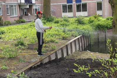 Foto 34 uit Plantjes Ijselburgh