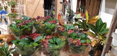 Foto 18 uit WorkShop Chantal