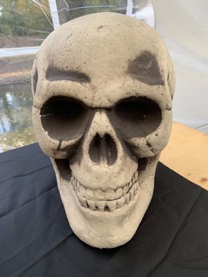 Foto 11 uit Halloween 2022