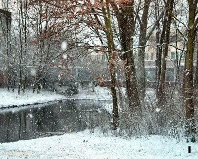 Foto 169 uit WinterIn Beverwaard