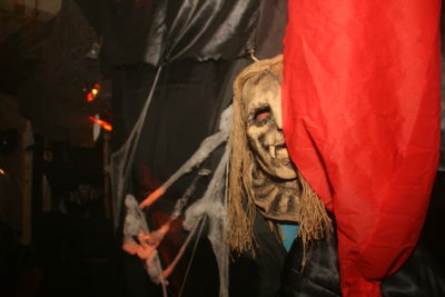 Foto 340 uit Halloween1-11-2014