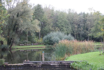 Foto 97 uit Herfst In Beverwaard