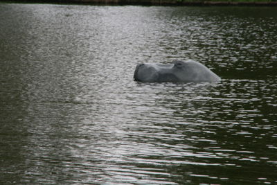 Foto 97 uit Stormpolder30_4-10