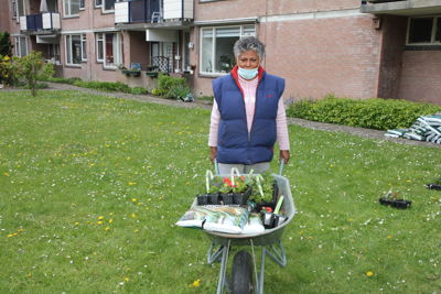 Foto 36 uit Plantjes Ijselburgh