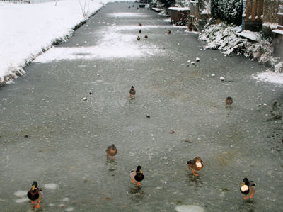 Foto 42 uit Kerst Beverwaard09