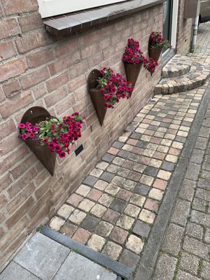 Foto 299 uit StratenBEVERWAARD