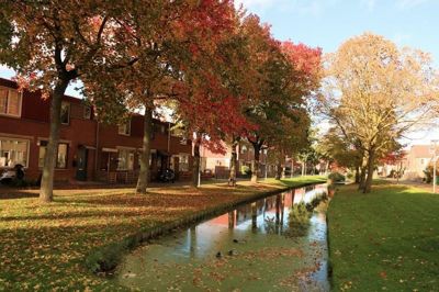 Foto 404 uit Rondje Beverwaard 2026