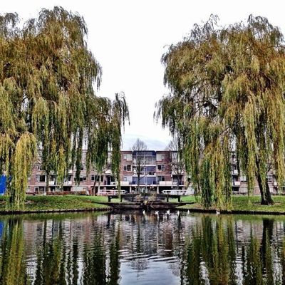 Foto 11 uit ParkenInBeverwaard