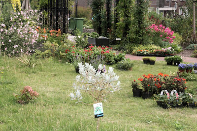 Foto 13 uit TropischeTuin16_07