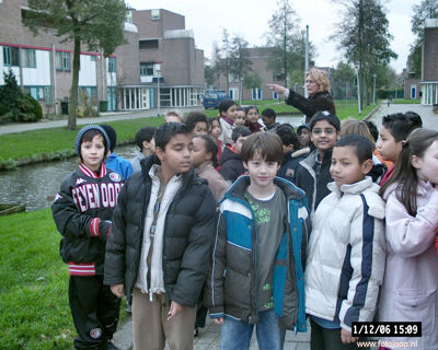 Foto 85 uit bloembollen planten