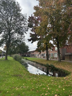 Foto 39 uit X-Herfst Verschillende jaren  2026