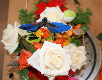 Foto 70 uit Rkregenboog25_3_09