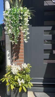 Foto 528 uit Rondje Beverwaard 2026