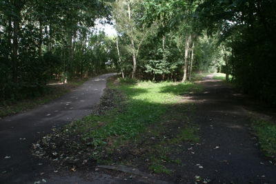 Foto 150 uit StratenBEVERWAARD