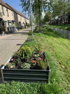 Foto 14 uit Rondje Beverwaard 2026