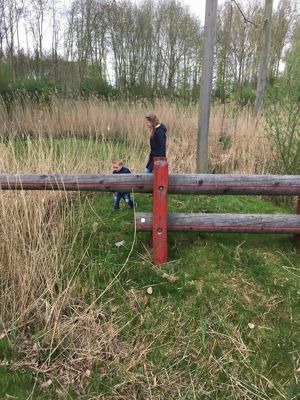 Foto 36 uit Pasen Stormpolder