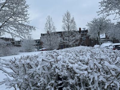 Foto 17 uit X- Sneeuw in de Beverwaard 2026