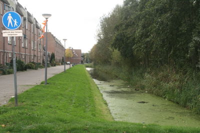 Foto 376 uit StratenBEVERWAARD