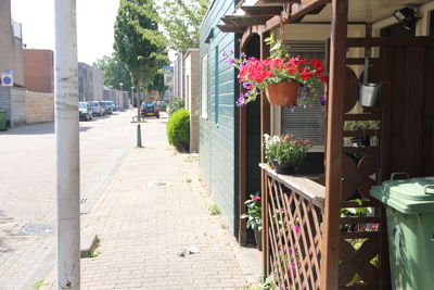 Foto 126 uit Herfst In Beverwaard