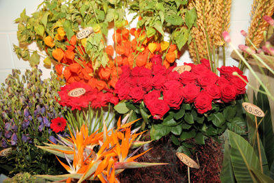 Foto 108 uit De Bloemenboetiek